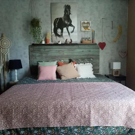 לינה וארוחת בוקר La Norelie Saint-Sulpice-de-Royan